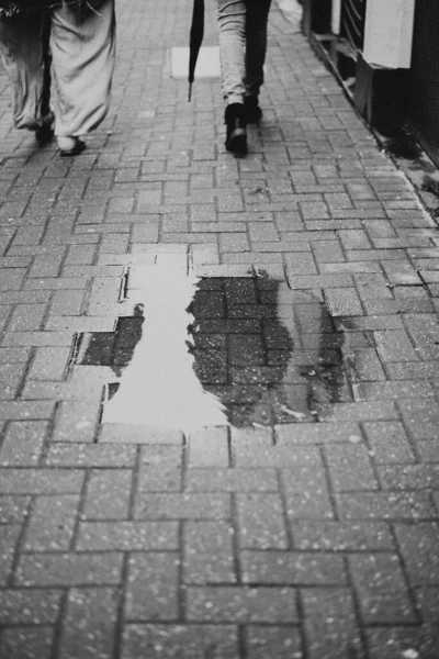 Vertical High Angle Greyscale Shot Small Pond Sidewalk — Stock Photo, Image