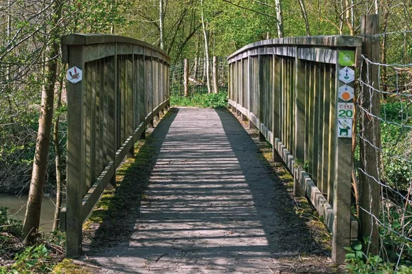 Strandpromenad Park Med Många Vackra Träd — Stockfoto