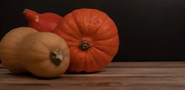 Automne Orange Citrouille Thanksgiving Fond — Photo