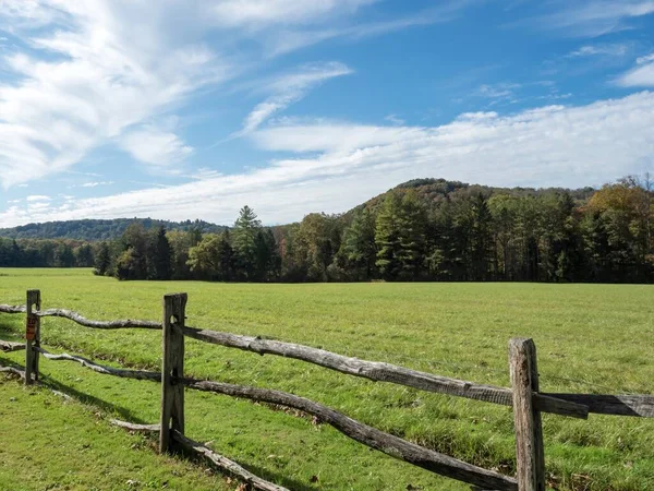 Hermoso Tiro Una Valla Campo Verde Con Árboles Fondo Durante —  Fotos de Stock