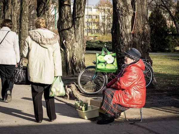 Познан Польша Марта 2014 Года Пожилая Женщина Продающая Свежие Цветы — стоковое фото