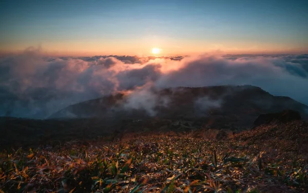 曇った背景に太陽が沈む丘の芝生の地面のクローズアップショット — ストック写真