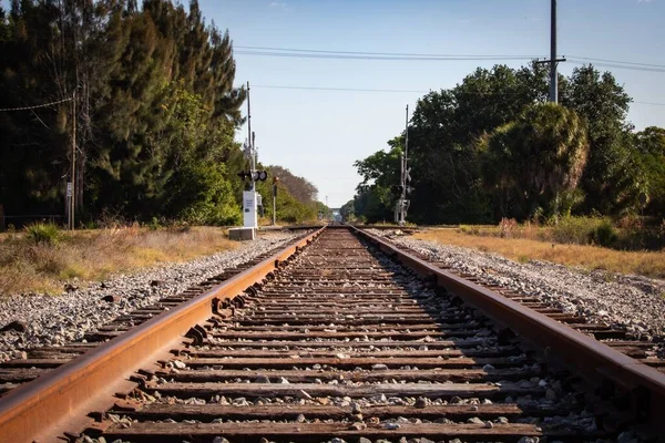 Eine Eisenbahn Umgeben Von Gras Und Bäumen Unter Dem Sonnenlicht — Stockfoto