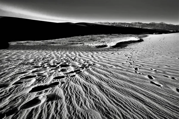 Grayscale Záběr Mesquite Flat Sand Dunes Národním Parku Death Valley — Stock fotografie