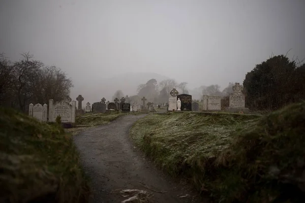 Una Hermosa Vista Antiguo Cementerio Rodeado Árboles Capturados Clima Niebla — Foto de Stock