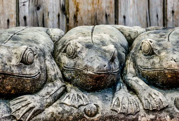 Asya Laos Taki Luang Prabang Tapınağı Ndaki Kurbağa Heykellerinin Yakın — Stok fotoğraf