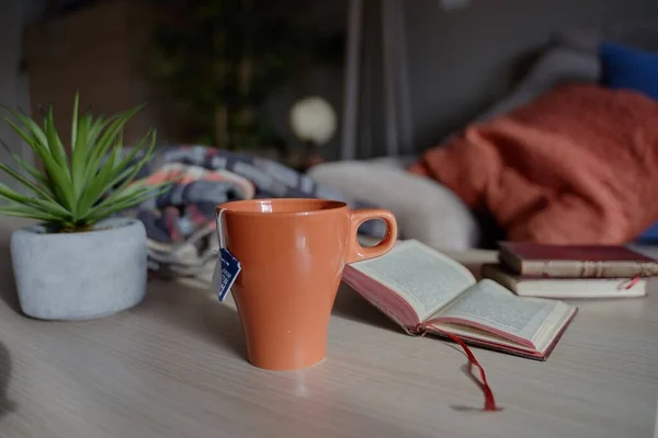 Une Tasse Thé Côté Livre Ouvert Côté Une Plante Intérieur — Photo