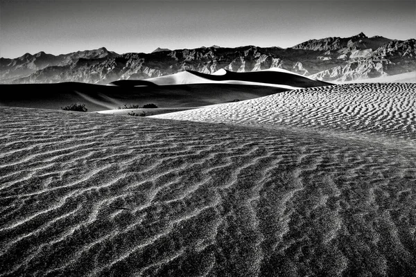 Plan Niveaux Gris Des Dunes Sable Plat Mesquite Parc National — Photo