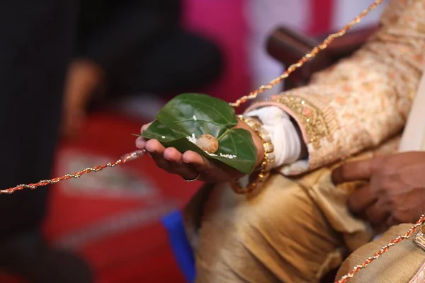 Під Час Індійського Весілля Сусідка Нареченого Тримала Руках Листок Рисом — стокове фото