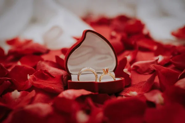 Închidere Două Inele Nuntă Într Cutie Formă Inimă Frunze Trandafir — Fotografie, imagine de stoc