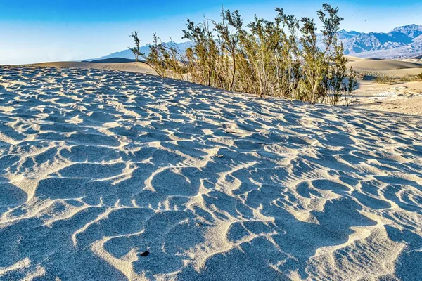 Piękne Zdjęcie Mesquite Flat Sand Dunes Parku Narodowym Dolina Śmierci — Zdjęcie stockowe