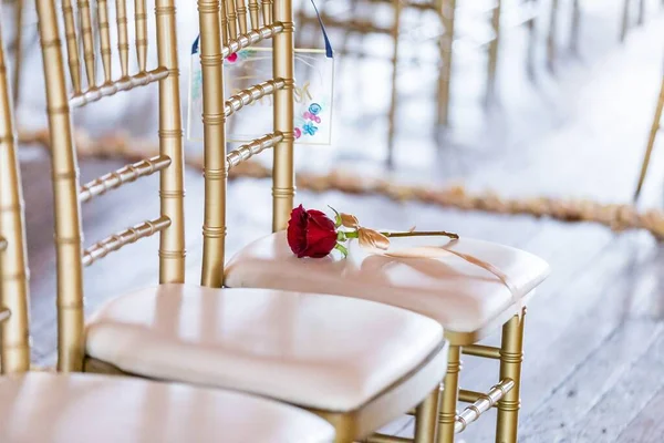 Primer Plano Una Rosa Roja Una Silla Dorada Blanca Salón — Foto de Stock