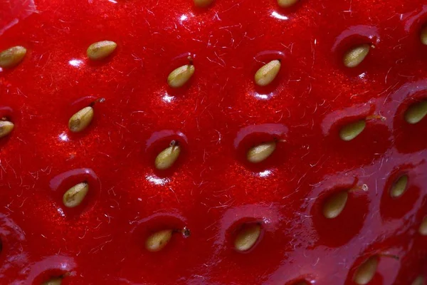 赤いおいしいイチゴの表面に種のクローズアップショット — ストック写真
