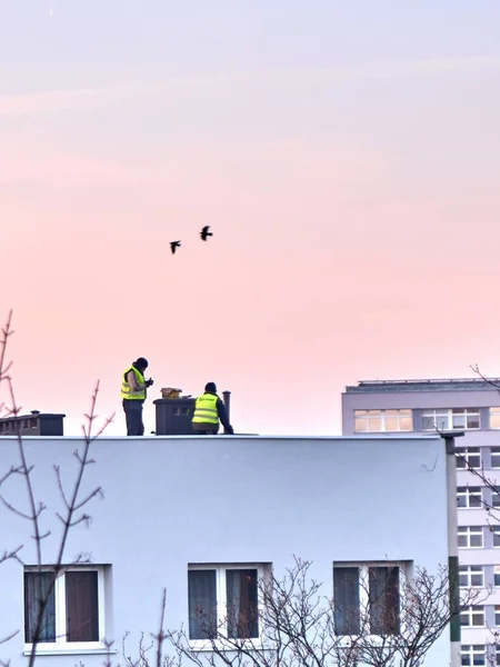 Eine Vertikale Aufnahme Von Sicherheitsbeamten Gelben Neonjacken Die Auf Dem — Stockfoto