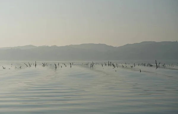 Una Hermosa Vista Los Palos Madera Visibles Superficie Del Lago — Foto de Stock