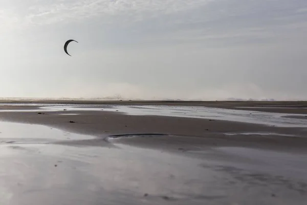 在多云的海滩上 远处的风筝轮廓 — 图库照片