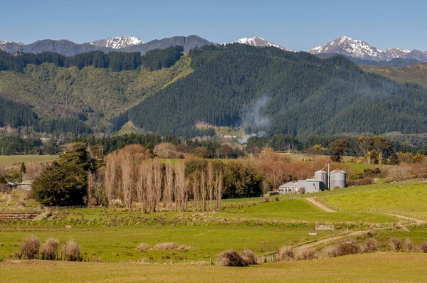 Een Boerderij Manawatu Gebied Van Nieuw Zeeland Met Besneeuwde Toppen — Stockfoto