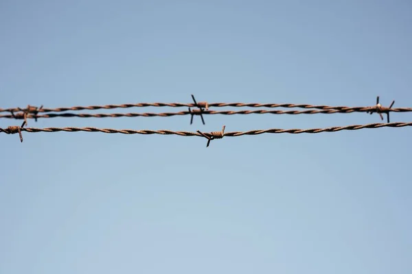 Niedrige Nahaufnahme Von Stacheldrähten Unter Dem Sonnenlicht Und Blauem Himmel — Stockfoto