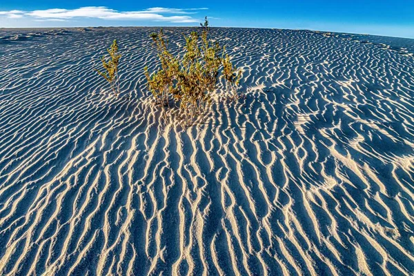 Beautiful Shot Mesquite Flat Sand Dunes Death Valley National Park — Stock Photo, Image