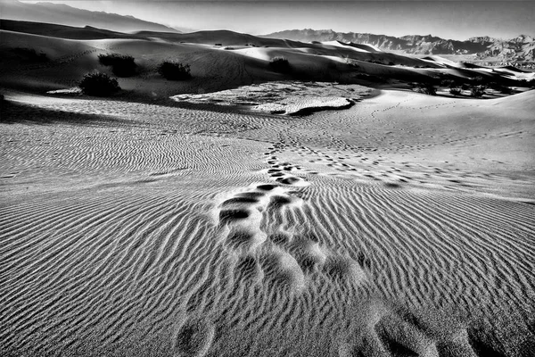 Eine Graustufenaufnahme Der Mesquite Flat Sand Dunes Death Valley National — Stockfoto