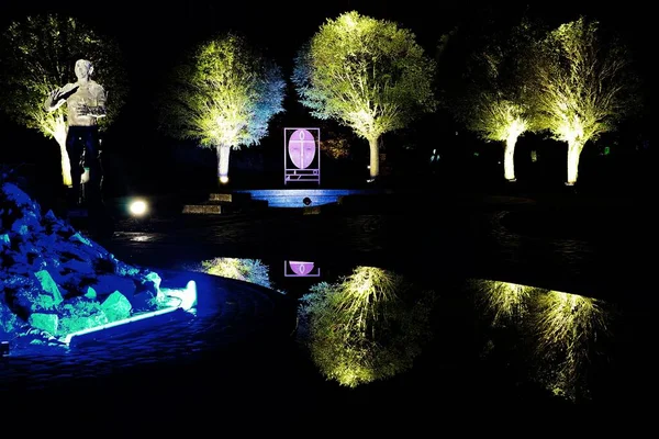 Flera Ljus Lyser Träden Parken Natten — Stockfoto