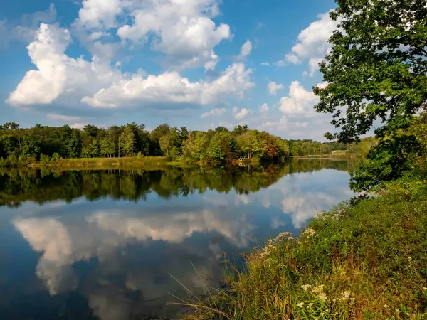 Beau Cliché Lac Entouré Verdure Arbres Parfait Pour Fond — Photo