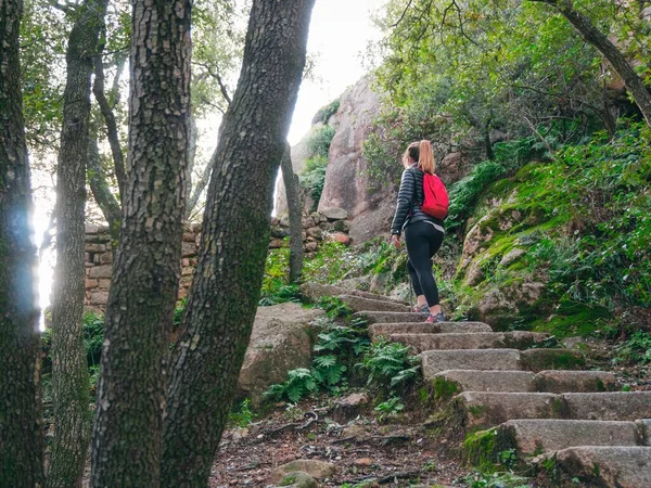 森の中でハイキング中に二階に登る女性の低角度ショット — ストック写真