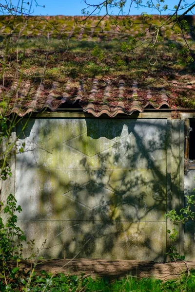 Vertical Shot Small Building Surrounded Trees Grass — Stock Photo, Image