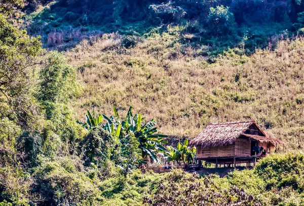 Une Belle Vue Sur Petit Chalet Milieu Une Colline Couverte — Photo