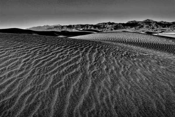 Grayscale Shot Mesquite Flat Sand Dunes Death Valley National Park — Stock Photo, Image