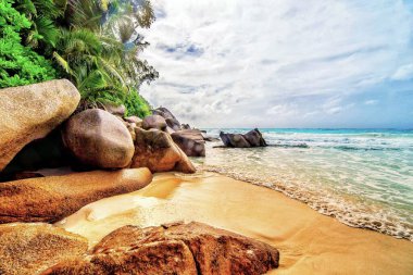 A picturesque shot of a beautiful beach at Anse Georgette, Praslin, Seychelles, Africa clipart