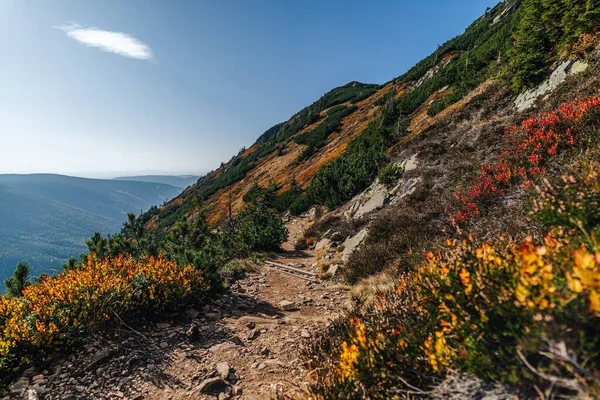 Herbst Bunte Aussicht Auf Den Nationalpark Riesengebirge Und Einen Kamm — Stockfoto