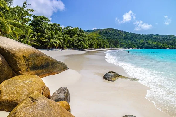 Una Playa Rodeada Por Mar Vegetación Bajo Luz Del Sol — Foto de Stock