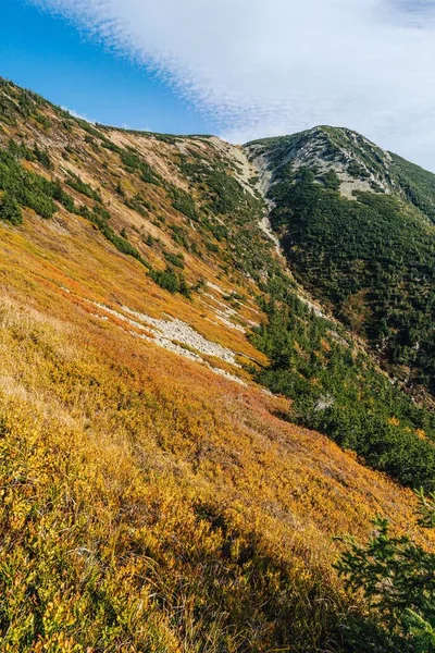Podzimní Barevný Výhled Krkonošský Národní Park Hřeben Kozi Hrbety Krkonoše — Stock fotografie