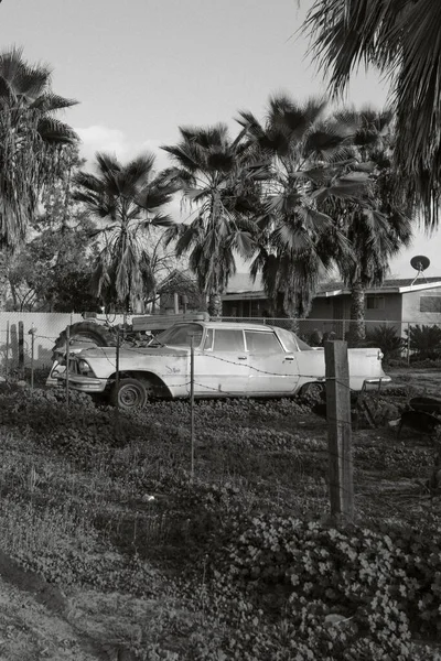 一辆停在棕榈树环绕的花园里的汽车的垂直灰度和白天的房子 — 图库照片