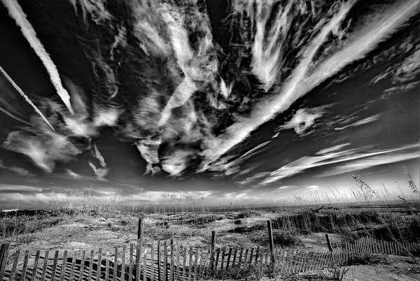 Tiro Scala Grigi Una Recinzione Legno Erbe Augustine Beach Florida — Foto Stock