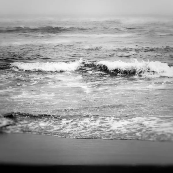 Tiro Escala Cinza Grandes Ondas Oceano — Fotografia de Stock
