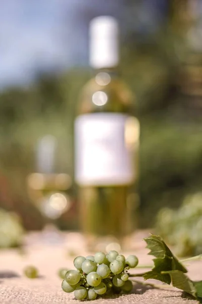 Zbliżenie Zielonych Winogron Stole Butelką Białego Wina Rozmytym Tle — Zdjęcie stockowe