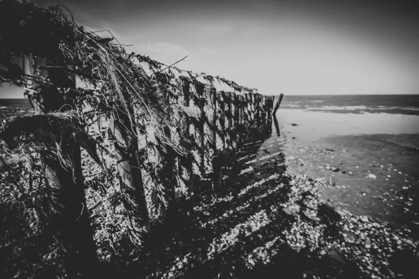 Sol Boueux Une Mer Sèche Une Clôture Bois Avec Grandes — Photo