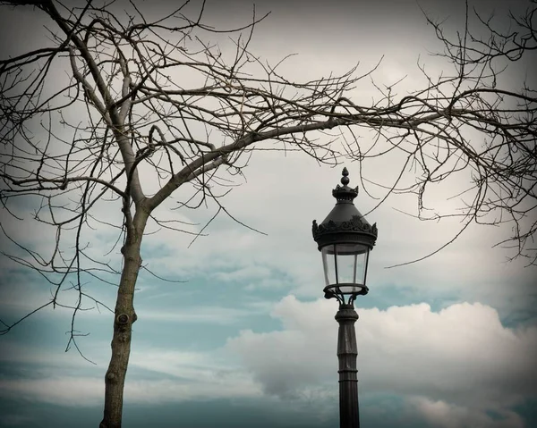法国巴黎 在乌云密布的天空下 在光秃秃的树木下 一盏街灯的低角镜头 — 图库照片