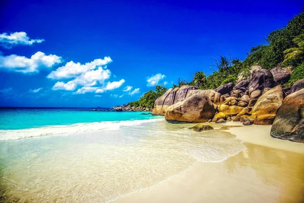 Beach Surrounded Sea Rocks Greenery Sunlight Blue Sky Praslin Seychelles — Stock Photo, Image