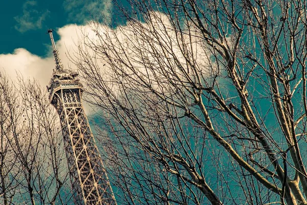 Vue Angle Droit Tour Eiffel Avec Beaux Arbres Automne Premier — Photo