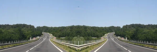 Vue Panoramique 360 Degrés Une Route Verdoyante Sous Ciel Dégagé — Photo