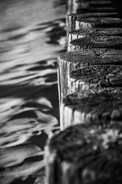 Вертикальний Сірий Знімок Колод Деревини Воді Біля Пляжу — стокове фото