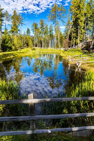 昼間は太陽の光で水面に反射する木々に囲まれた池 — ストック写真