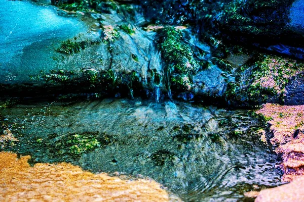 Ein Mit Moos Bedeckter Felsen Küstennähe — Stockfoto