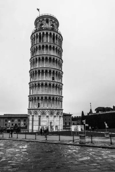 Disparo Vertical Torre Pisa Inclinada Italia — Foto de Stock