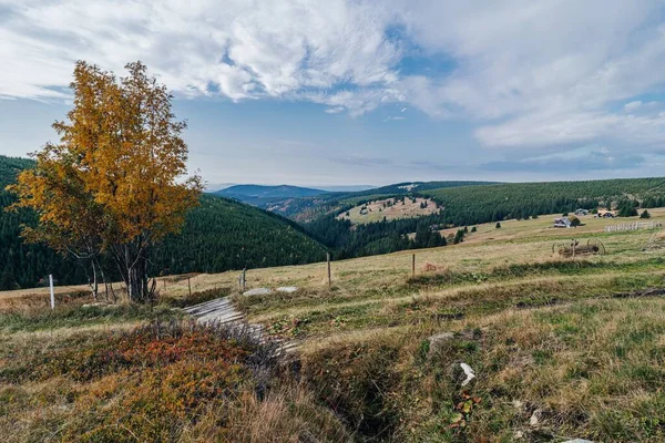 Schöne Herbstlandschaft Des Riesengebirges Gipfel Und Gipfel Des Nationalparks Riesengebirge — Stockfoto