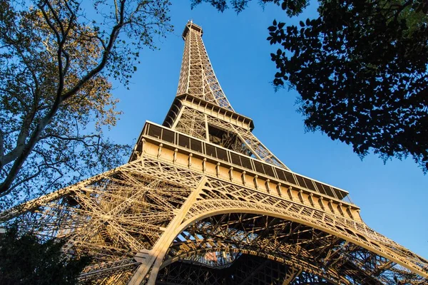 Une Vue Angle Bas Tour Eiffel Entourée Arbres Sous Soleil — Photo