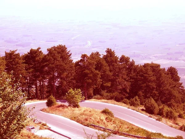 Une Rue Sur Une Montagne Avec Des Arbres Effet Rouge — Photo